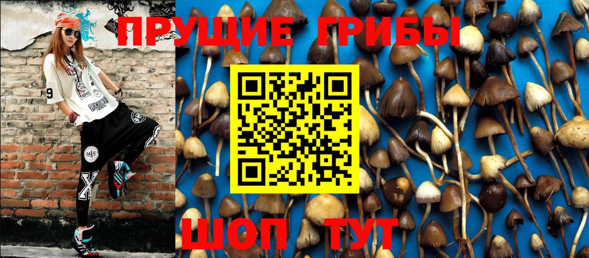 Бошки Шишки  Альфа ПВП СК   COCAIN  Гашиш  Нефтекумск  ЭКСТАЗИ  Вход с VPN  МЕФ кристаллы 