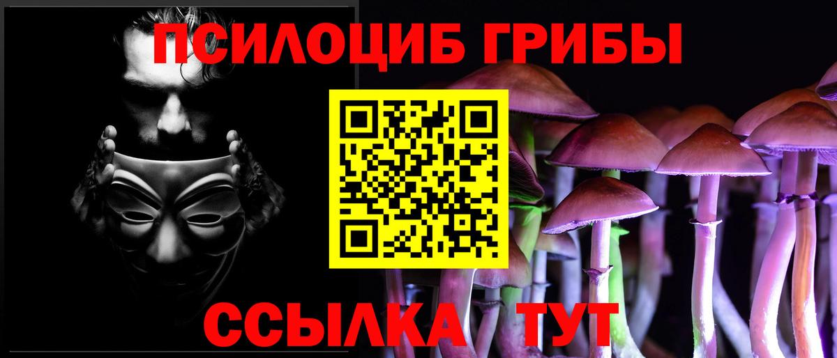 Нефтекумск  Галлюциногенные грибы Psilocybe  Вход с VPN  Псилоцибиновые грибы мицелий 